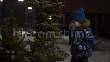 美丽的慢动作视频-小男孩有趣的摇雪从一个下雪的圣诞树在公园冬天的晚上
