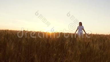 日落时分，幸福的爸爸妈妈和孩子在一片麦田里的剪影。 农民和家庭在田野上。 一个孩子