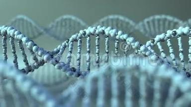 旋转DNA分子。 基因，基因研究或现代医学概念.. 4K无缝循环动画