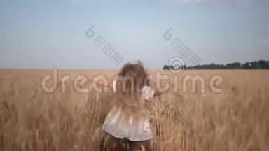 农业，可爱的小女孩，金色长发，穿着白色的衣服，在麦田里奔跑，秋高气爽