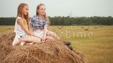 美丽的少女坐在<strong>干草</strong>堆在村里的收割场。 年轻女孩在乡下的<strong>干草</strong>堆<strong>上</strong>摆姿势