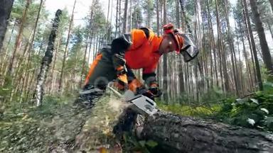 木工用电锯砍树