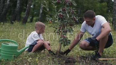 父母和儿子正在树下压土