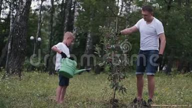 一对父子在公园里种了一棵<strong>梅树</strong>