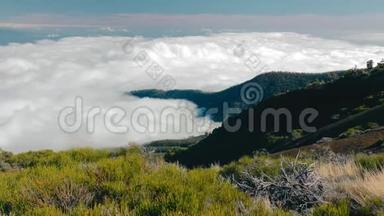 国家公园Tenerife和Teide的<strong>云层</strong>上方的森林。 北部<strong>云层</strong>上方的森林