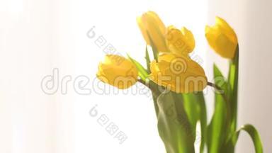 窗外白色背景上的一束黄色郁金香花蕾特写