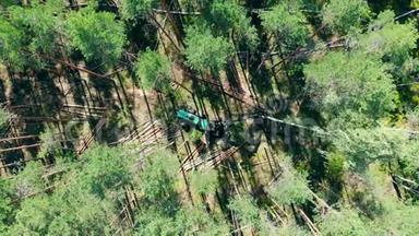 绿色拖拉机在森林里砍高树.
