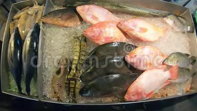 冰上的鱼和虾。 躺在街头集市的柜台上..