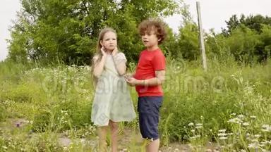 在暑假的时候，一个卷曲的男孩和一个女孩看着花在绿色的田野上散步。 哥哥给姐姐开花