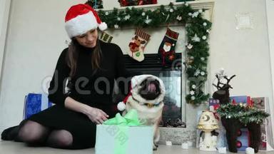 女人送礼物给穿着圣诞服装、戴着圣诞帽、新年和圣诞节的滑稽小狗