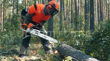 <strong>樵夫</strong>正在用电锯砍树。 砍伐森林，森林砍伐理念..