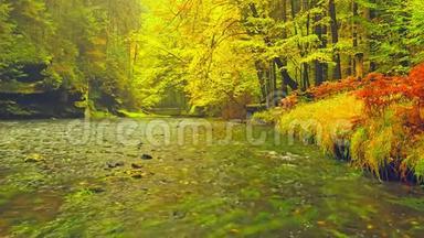 秋天的<strong>河流</strong>。 秋天的<strong>自然景观</strong>，公园里树上五颜六色的叶子。 秋天。