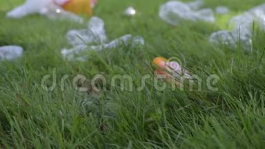 志愿者正在公共公园清理垃圾。 女人从草地上拿起塑料瓶，环境污染