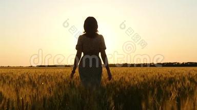 日落时女孩的剪影。 穿着衣服的女孩正在金色的麦穗中朝太阳走来。