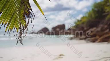 棕榈叶在微风中摇曳，海浪翻滚到热带海滩。 太阳耀斑反射海水