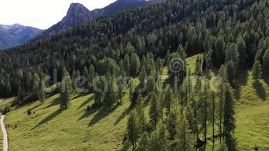 美丽的卡蒂那契奥山，也被称为Rosengarten从帕索科斯塔隆加。 意大利南蒂罗尔的多洛米特斯。 Catinaccio