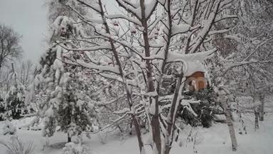 美丽的冬季景观。 雪躺在树枝上。 冬天的云杉和雪中的树枝。 美丽美丽