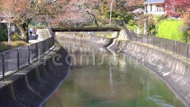 秋季，从京都亚马西纳的安舒桥上观赏琵琶湖运河或琵琶湖水