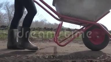 农夫女孩红脖子在泥土里工作，穿着橡胶靴的花园手推车。 农民生态农业
