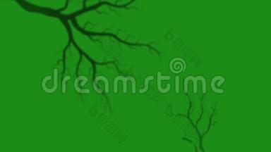 绿色背景HD<strong>1920</strong>x1080上的树枝外观