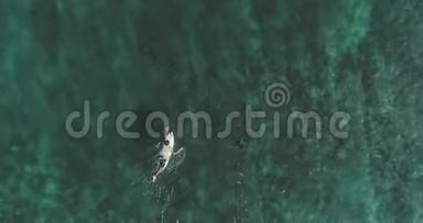 从高空拍摄到冲浪者在海洋中捕捉海浪。 鸟瞰海水高，冲浪板在海水上