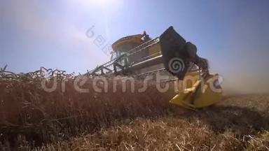 低角度收割机移动收麦粒夏季慢动作