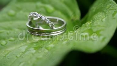 雨后潮湿的绿纸上的结婚戒指。 婚礼夏日细节及配饰特写.. 结婚前的时间