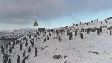南极幽默标志说`小心-鸟类`。 古图企鹅殖民地。