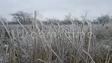 田野里长满了高大的草，都是冰晶覆盖后的<strong>天气</strong>，有结冰的雨。 秋天的<strong>天气</strong>。 <strong>恶劣天气</strong>