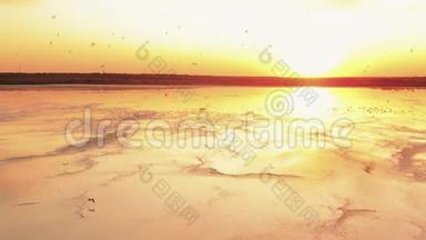 日落时分，在一个半干旱的咸水湖上，一群海鸥