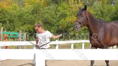 骑手牵着马的缰绳去，骑手和马在训练后一起去。 动物护理。 概念