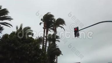 棕榈树在风中摇曳。 一排绿色的棕榈树，背景上有一片阴云密布的天空。