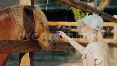 女孩抚摸一匹可爱的小马，从篱笆后面往外看