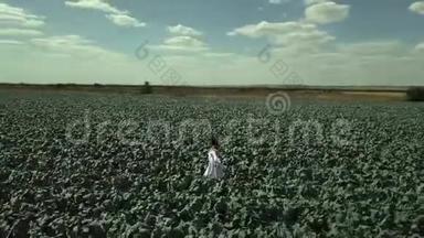 从无人驾驶飞机周围射击：一个年轻的女孩快乐地穿过一片田野，用手触摸小麦的耳朵。 美丽的关怀