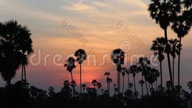 <strong>时光</strong>流逝，稻田的景观在黄昏的时间和橙色的天空中充满了<strong>剪影</strong>棕榈树。