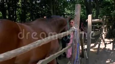 一个穿着<strong>粉红</strong>色太阳裙的年轻女孩在围场里抚摸着漂亮的棕色马。 4k. 4k<strong>视频</strong>