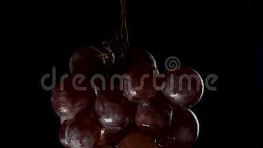 一串葡萄悬浮在黑暗中的浆果上，<strong>翻滚</strong>着一滴水