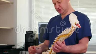 脊椎治疗-医生在脊柱样本上显示问题