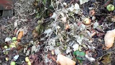 坑内废弃水果.. 当地垃圾填埋场的生物垃圾.. 生态上不友好的处理生物的方法。