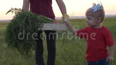 <strong>幸福</strong>的家庭妈妈和女儿在日落时在田里收割蔬菜。 一个<strong>幸福</strong>家庭的团队合作