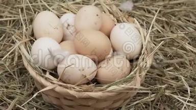 鸡蛋收集在篮子里