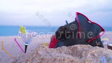在暑假假期，在海滩海边的沙滩上，戴着红色的太阳帽，躺在沙滩上，看着黑褐色的狗。
