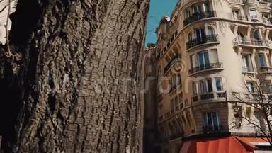 摄像机就在树木后面，沿着公寓楼，放映史诗般的埃菲尔铁塔，在阳光明媚的秋天早晨，巴黎。