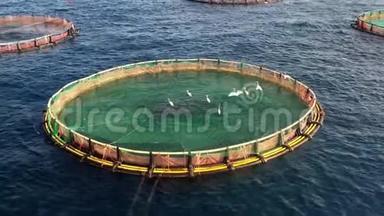 海鱼养殖场。地中海养鱼用网箱