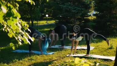 两个年轻的女人在公园里和她们的教练一起做瑜伽-弯下腰在地上