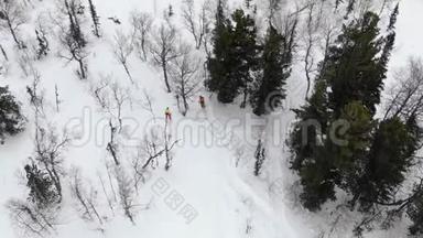 专业滑雪者的侧影沿着林道移动