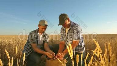 商人检查粮食质量. 农业概念。 农民和商人的团队合作。 农学家和农民