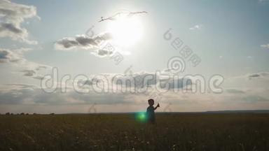 阳光明媚的一天，快乐的小<strong>男</strong>孩在草地上玩风筝。 <strong>夏季</strong>概念。