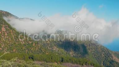 加那利群岛特内里费科罗纳森林自然公园----位于云层<strong>高空</strong>的大片森林