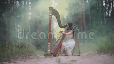 女<strong>竖</strong>琴演奏家在森林和弹<strong>竖</strong>琴<strong>背景</strong>的黄烟。